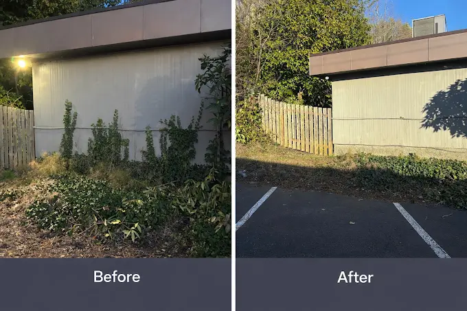 Brush and overgrowth cleared from a commercial building perimeter and parking area