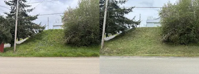 Roadside slope cleared of brush and tall grass — before and after