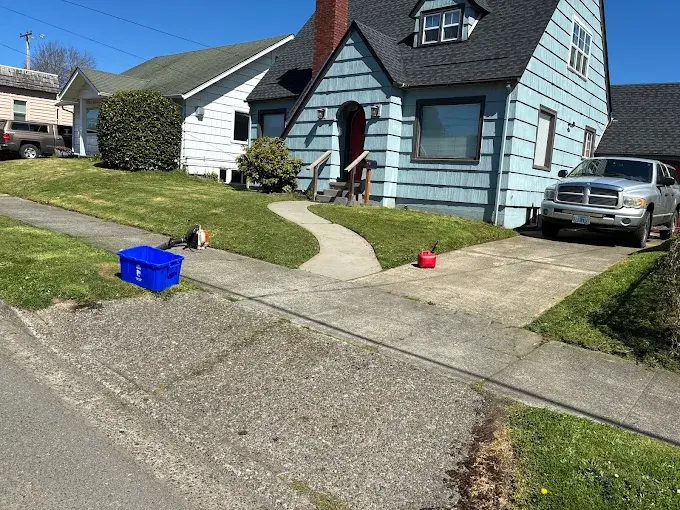 Tidy front yard and walkway after maintenance