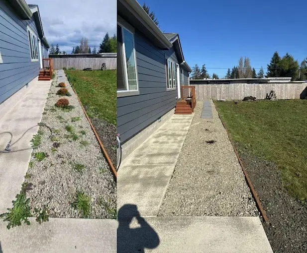 Side yard cleanup — weeds and overgrowth cleared from gravel and walkway, before and after