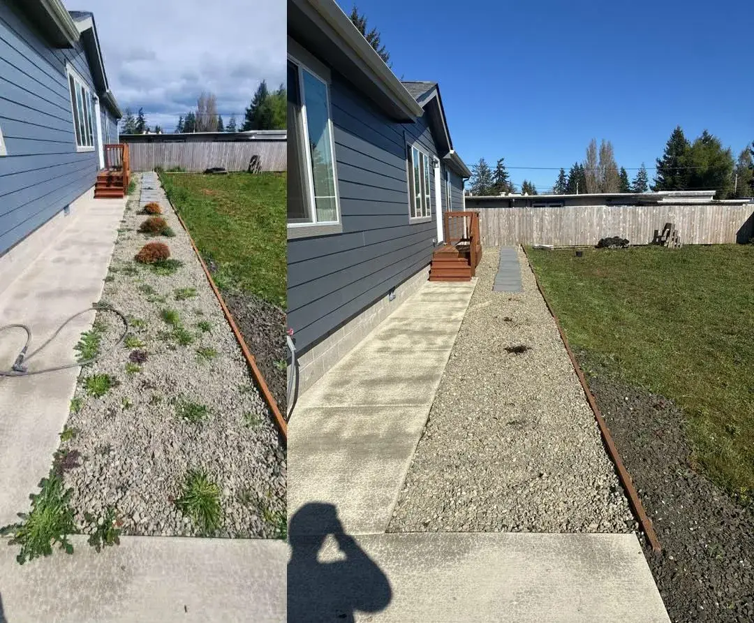 Side-yard walkway with weeds cleared and concrete cleaned up — before and after