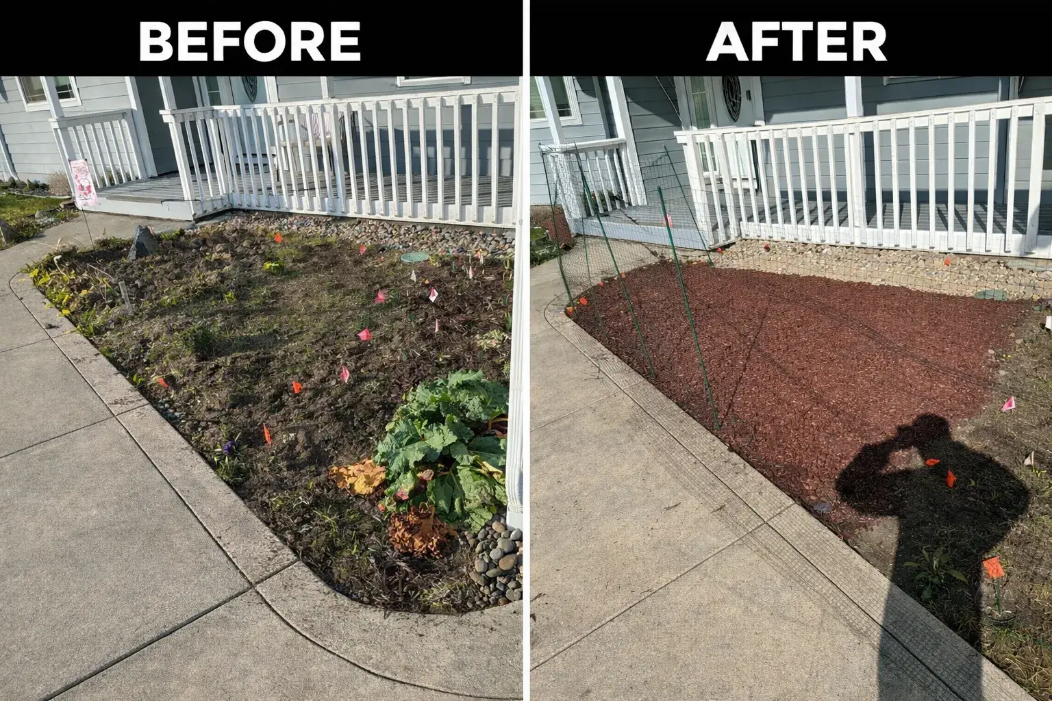 Fresh red bark mulch installed in a front-yard bed in Coos County, before and after