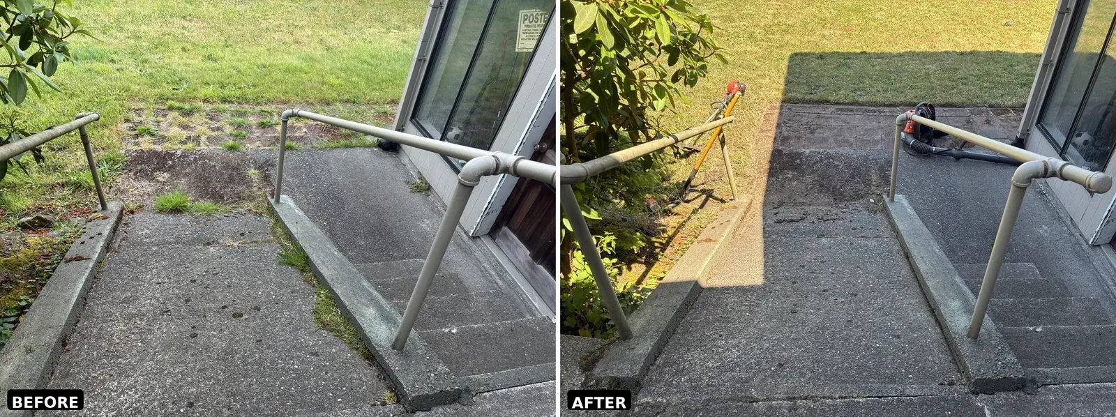 Moss and weeds cleared off concrete entry steps in Coos County, before and after