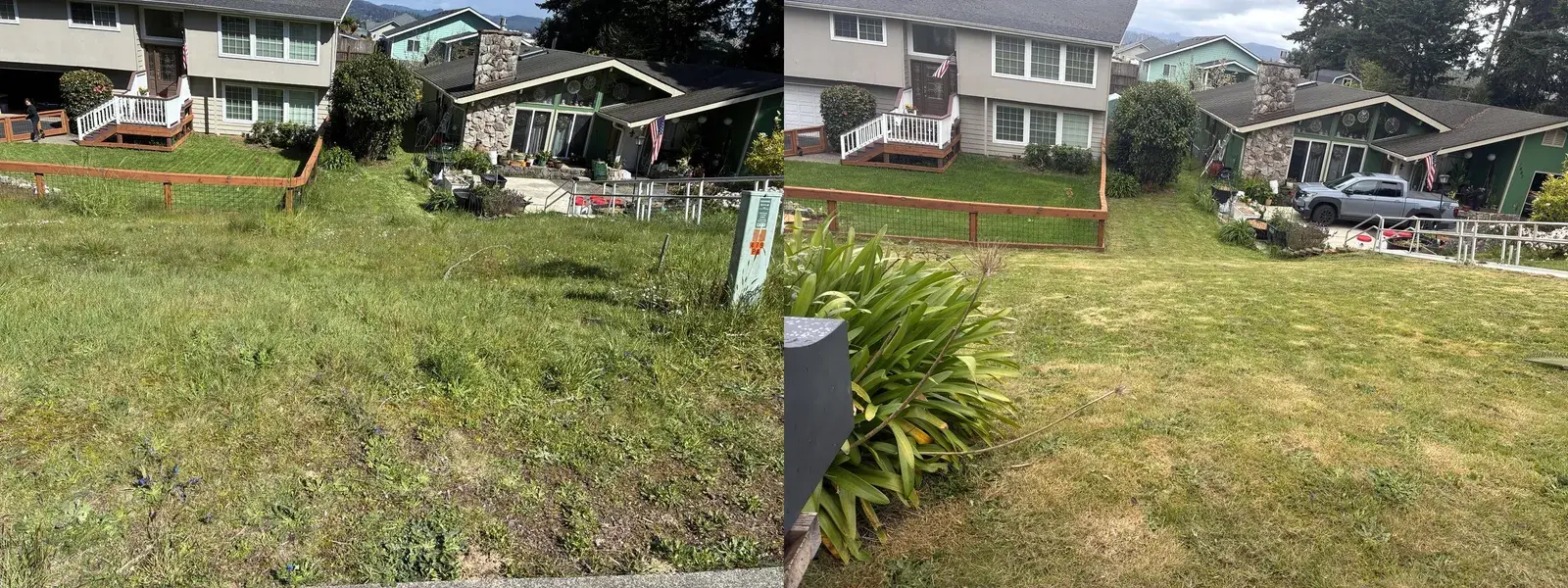 Weedy front yard cleared and mowed in Coos County, before and after