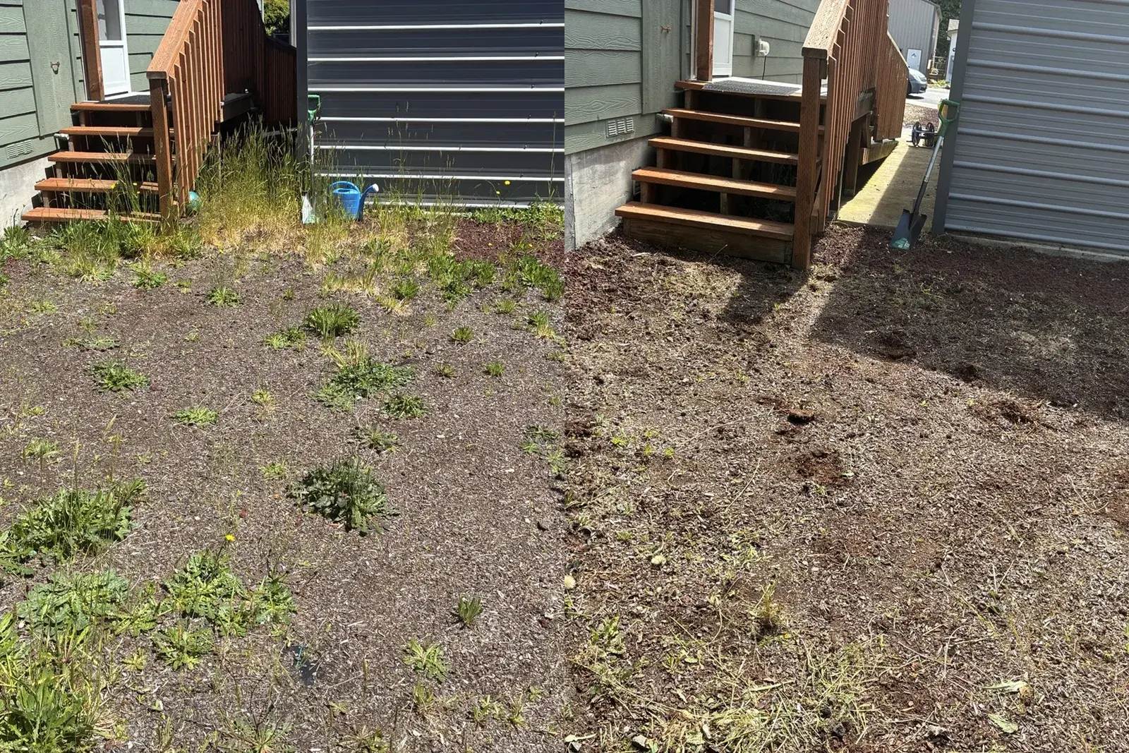 Weedy soil bed by the back steps cleared and turned in Coos County, before and after