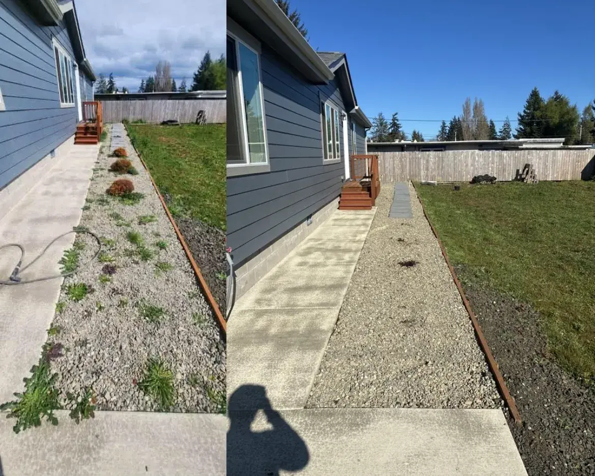 Gravel side-yard bed weeded and cleaned along a walkway in Coos County, before and after