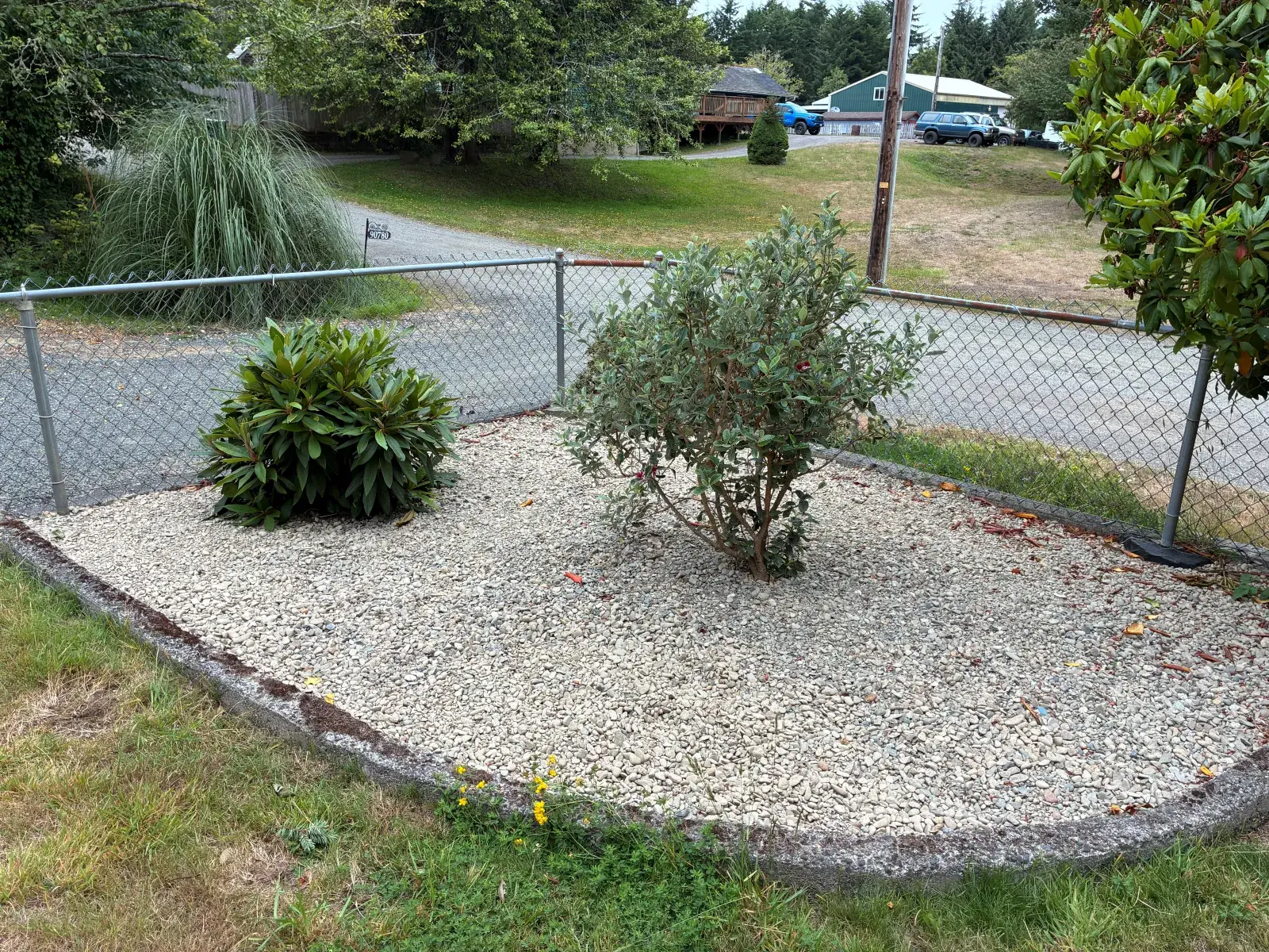 Clean gravel bed with shaped shrubs by the driveway in Coos County