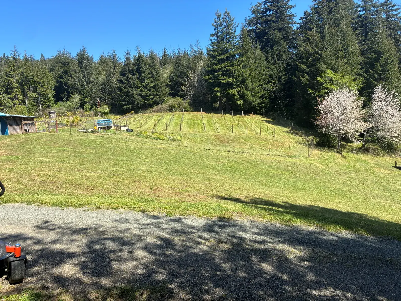 Large rural property freshly mowed with clean stripes in Coos County