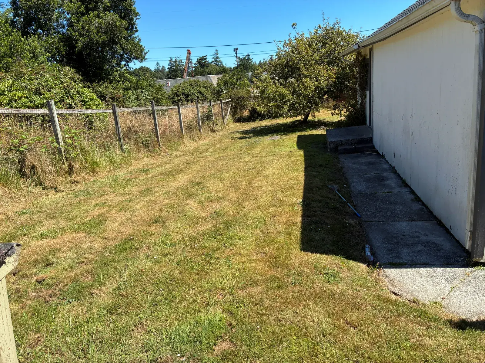 Long backyard lawn mowed tidy along the fence line in Coos County