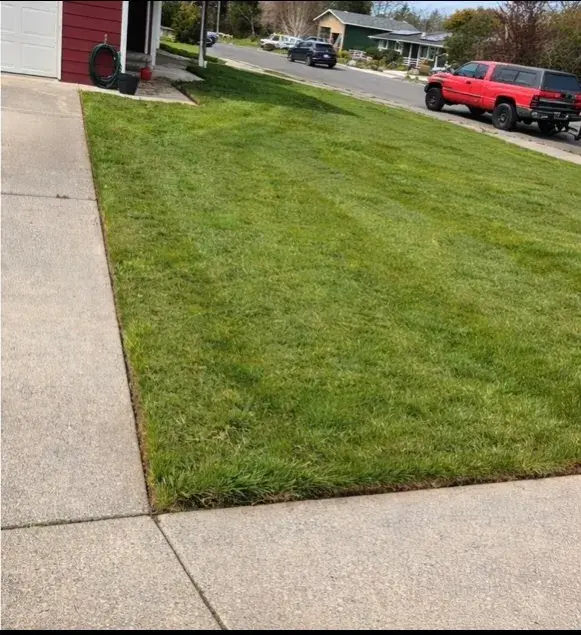 Freshly mowed and striped front lawn by the driveway in Coos County