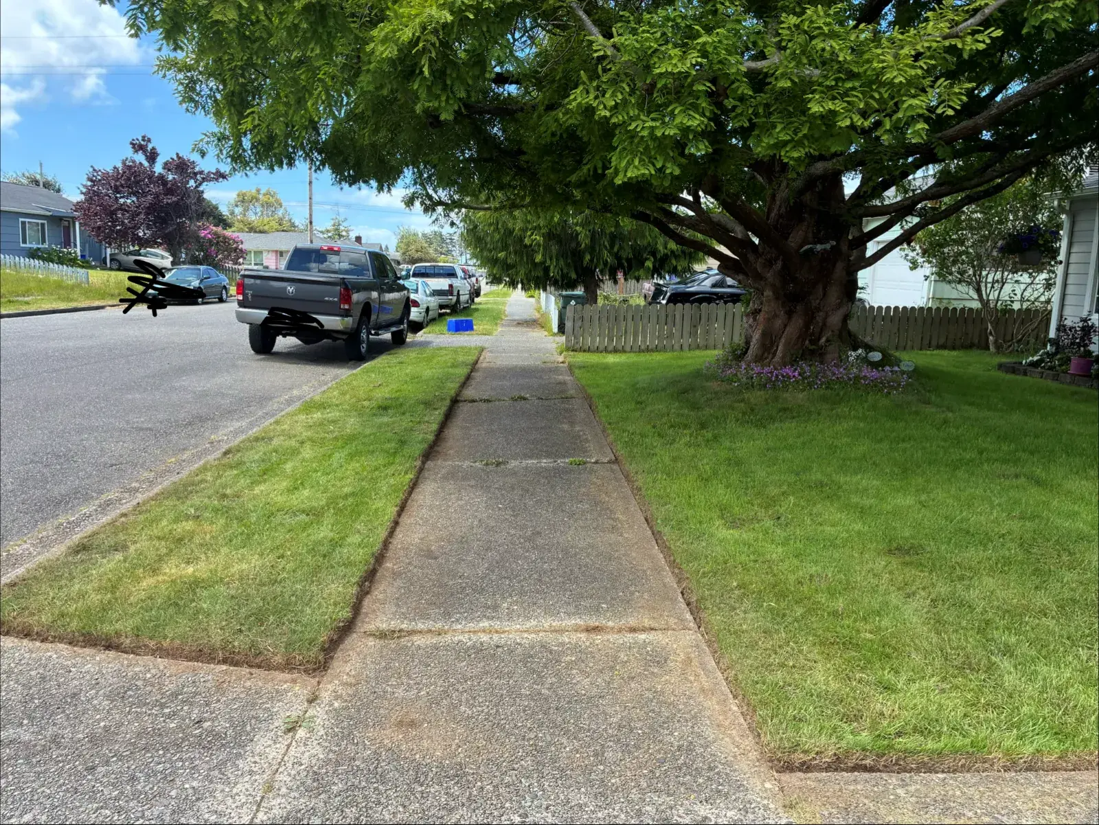 Street-side parkway lawn mowed and edged clean in Coos County