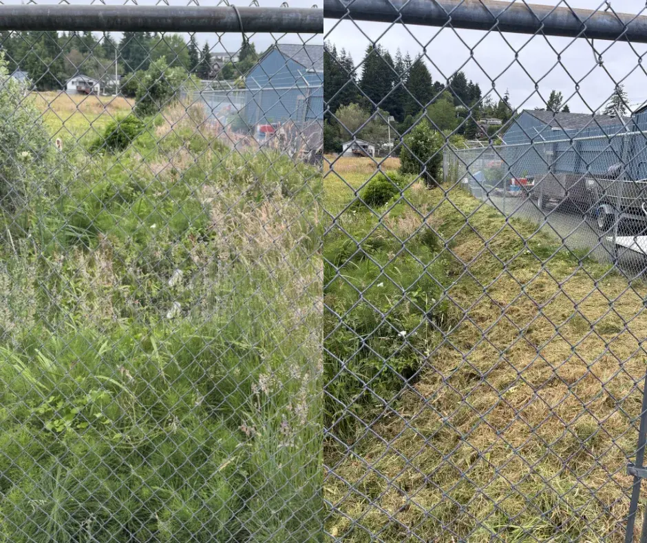 Overgrown lot mowed down along a chain-link fence in Coos County, before and after