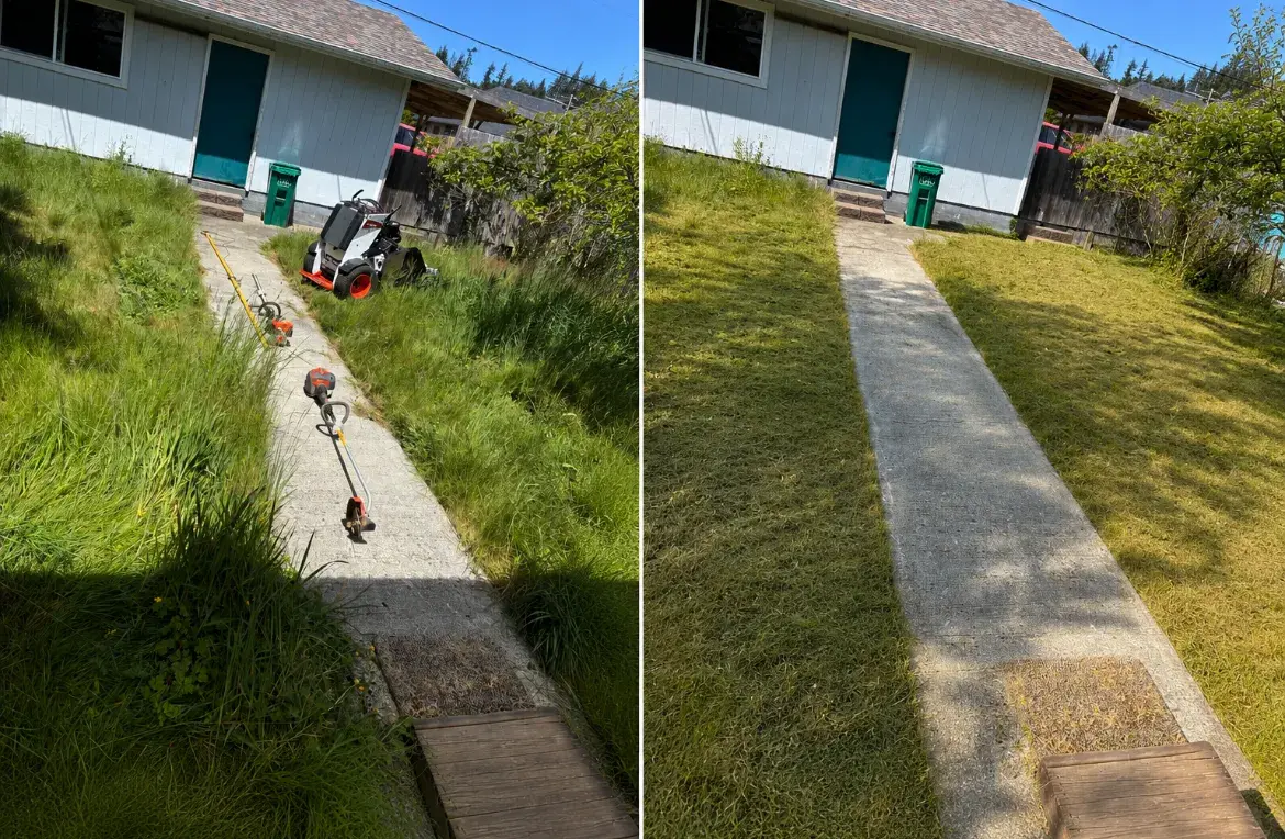 Overgrown walkway cleared and mowed with a compact loader in Coos County, before and after