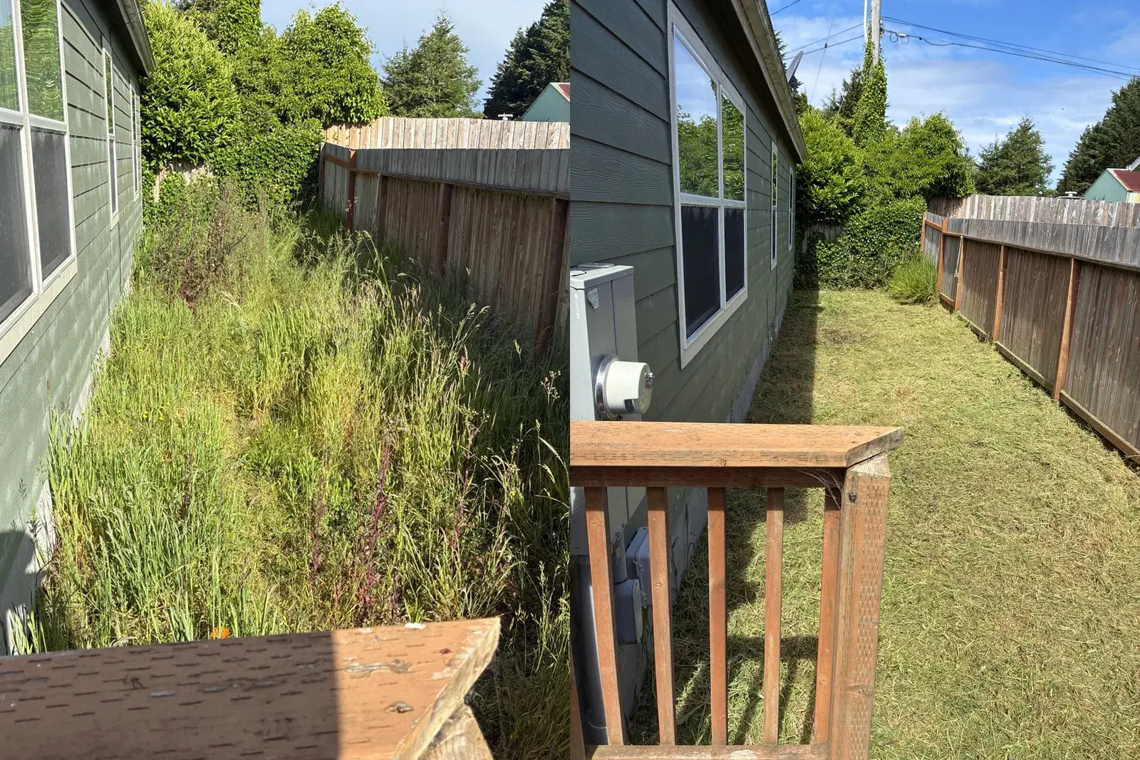 Overgrown side yard cut back along the house and fence in Coos County, before and after