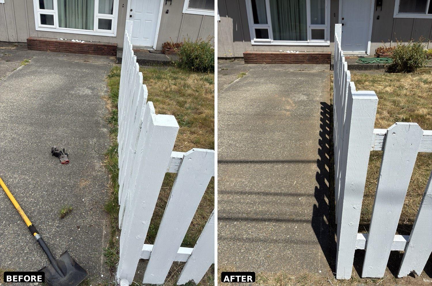 Weeds cleared along a driveway and front walk in Coos County — before and after