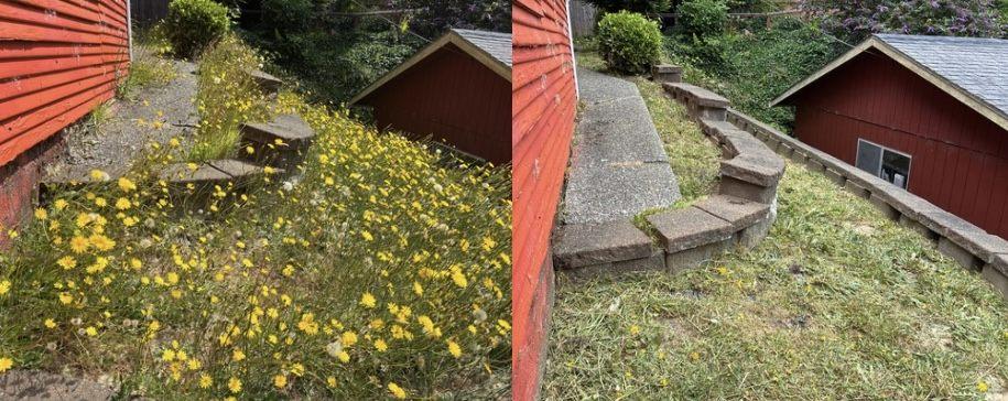 Weeds and overgrowth cleared around backyard steps in Coos County — before and after