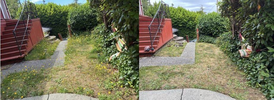 Weedy backyard path and lawn cleaned up in Coos County — before and after