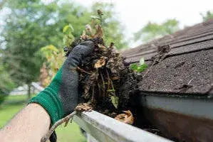 Gloved hand pulling leaves and needle debris out of a clogged roof gutter